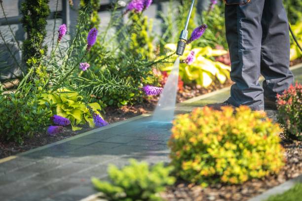 Trusted Lake In The Hills, IL Pressure Washing Services Experts